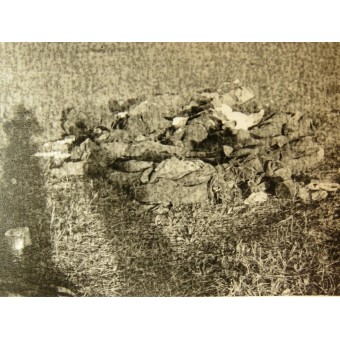 Bilder från östfronten. Bilder av den stridsskadade KV1-S. Espenlaub militaria